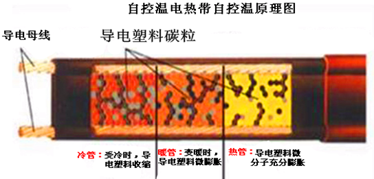 洗眼器